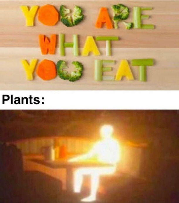 Big brain time