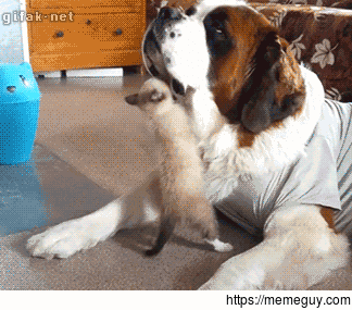 Big Bully