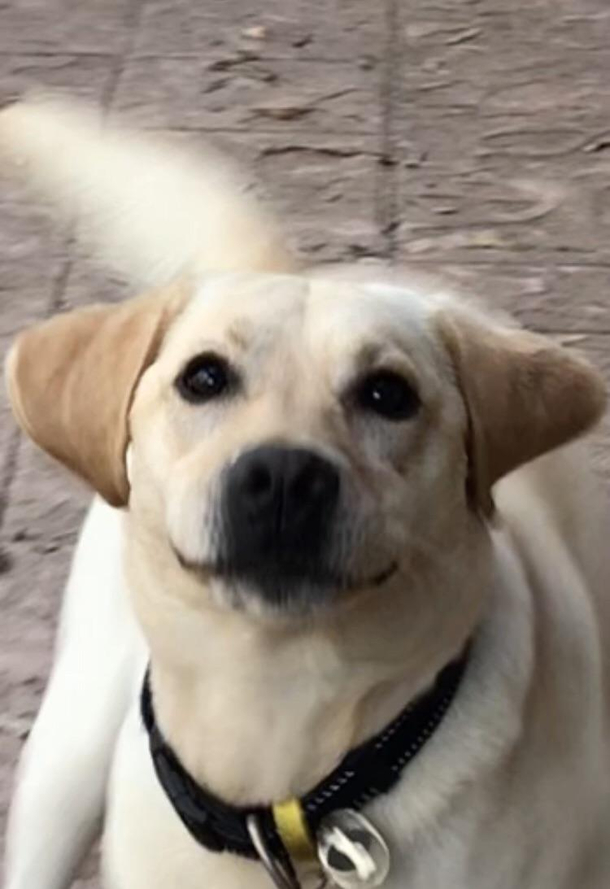 Big derp