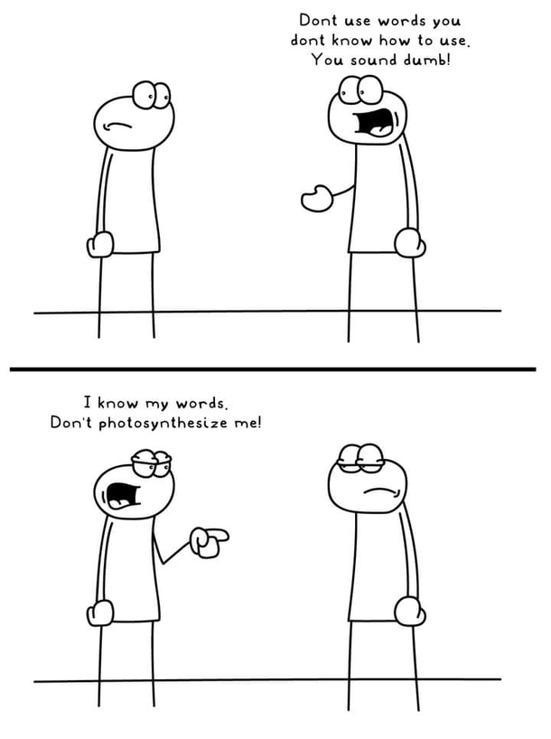 Big words