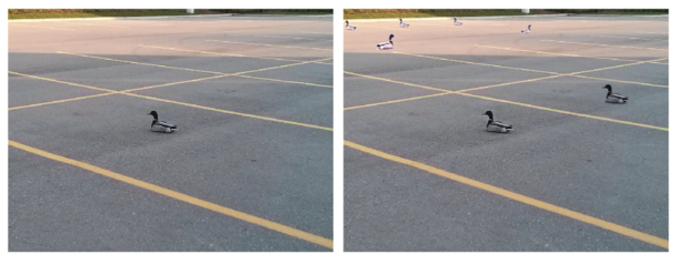 Bill was extra early for work