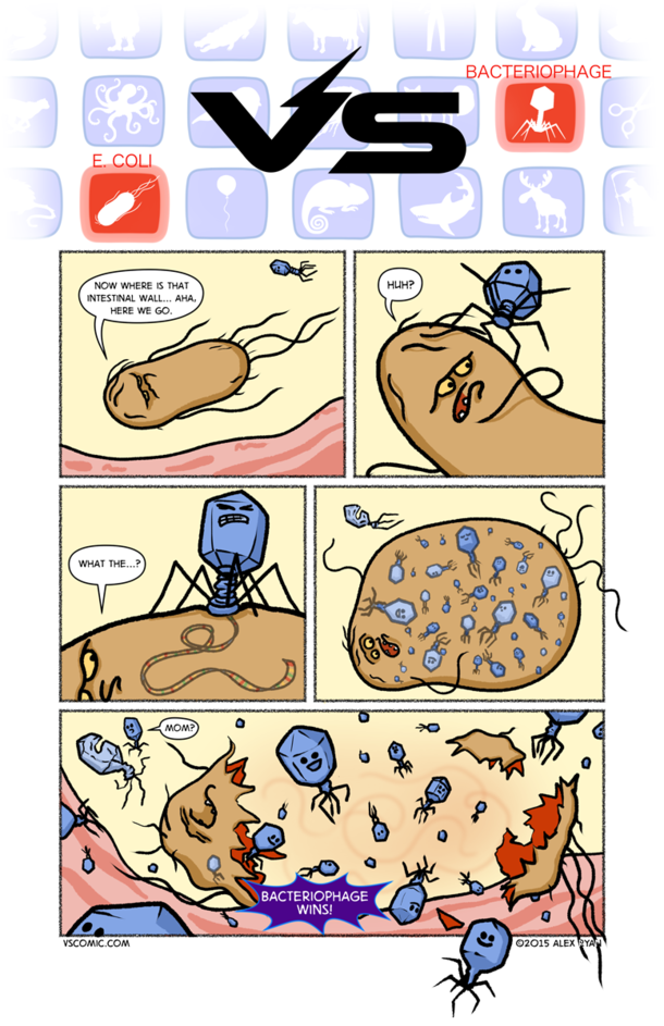 biology in action