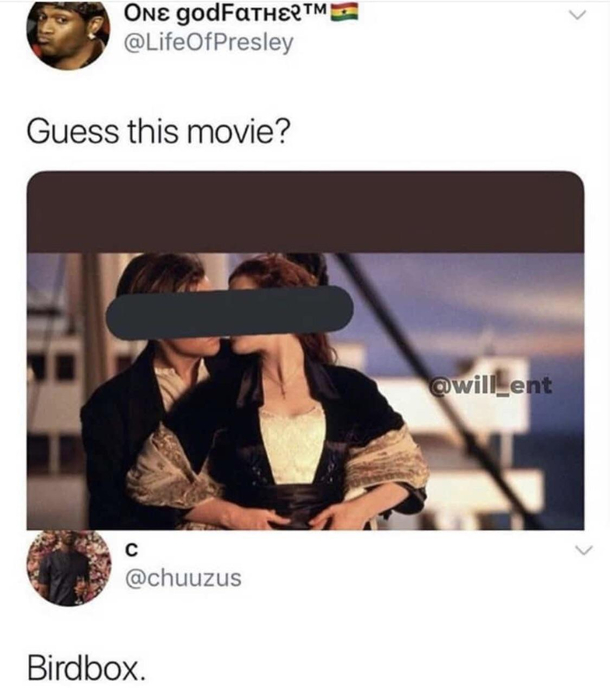 Bird box 