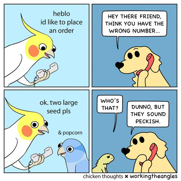 Bird Call
