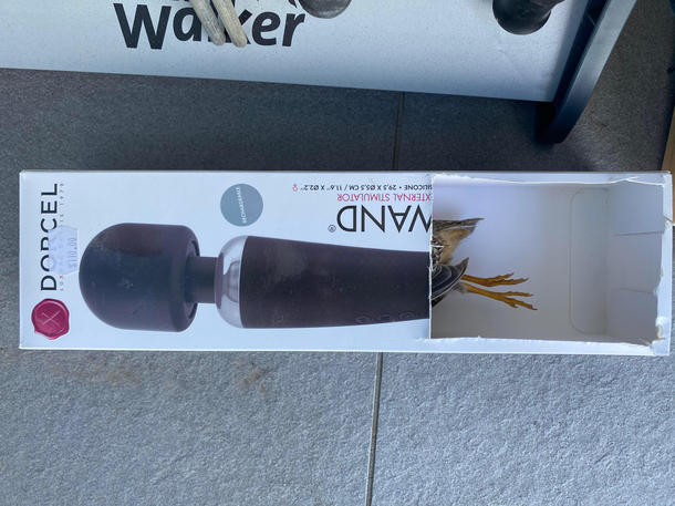 Bird flew into our window I put him in the only available box I had so he could recover