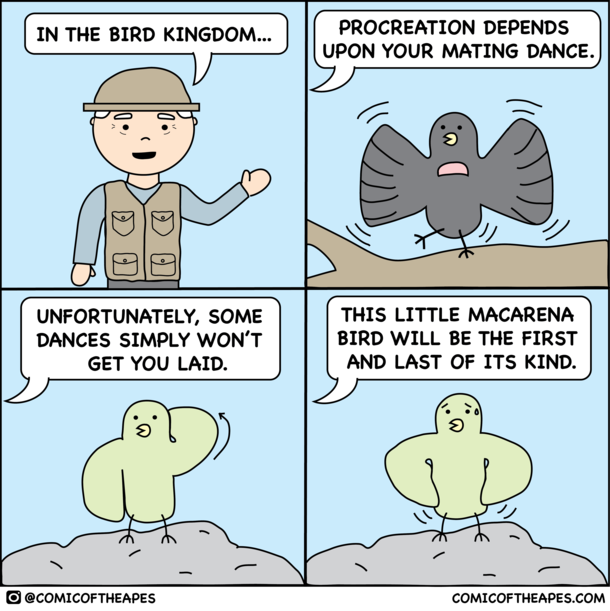 Bird Kingdom