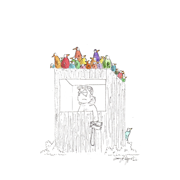 Bird Watching