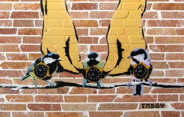 Birdwatching graffiti