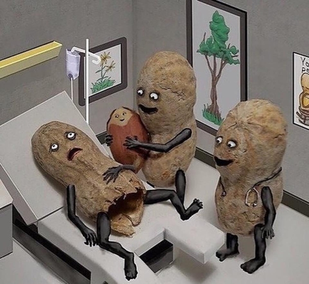 Birth in a nutshell