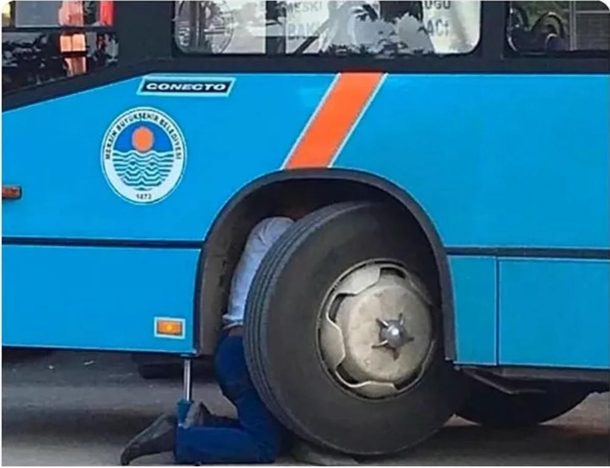 Birth of a bus driver