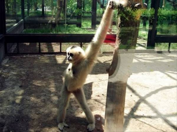 Bitch Im Fabulous