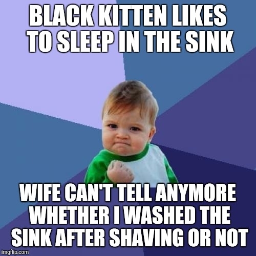 Black cats are awesome