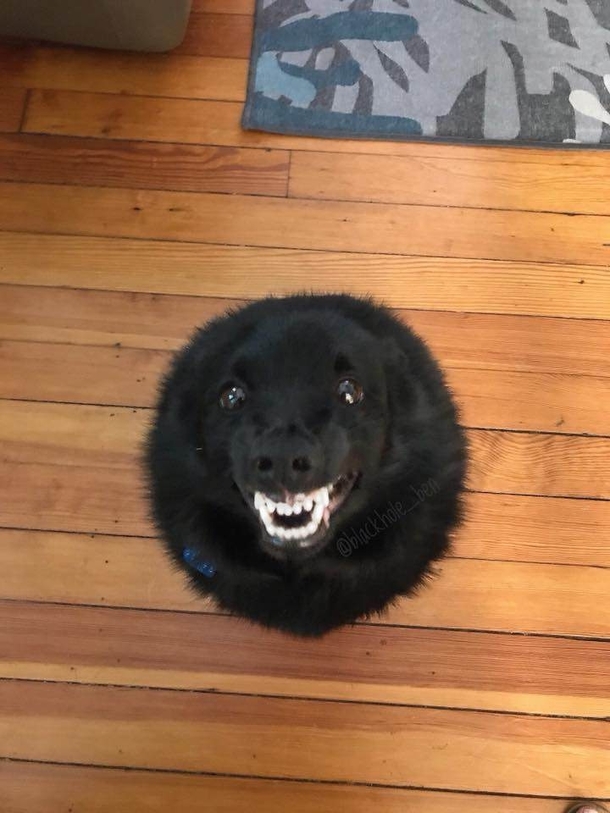 Black hole has fangs