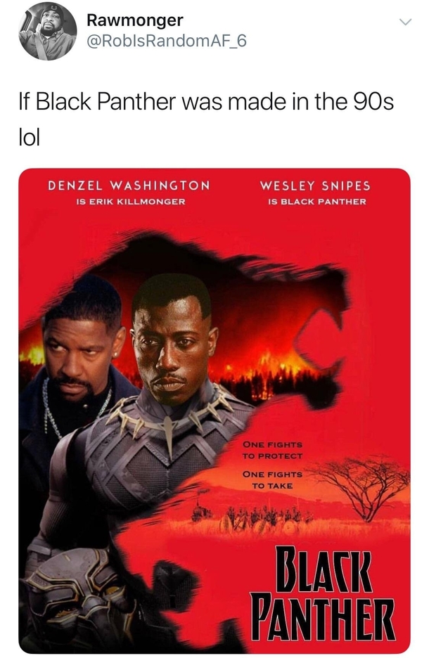 Black Panther in the s