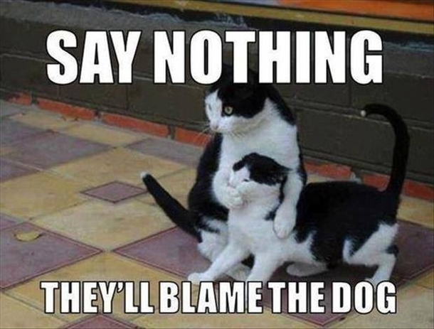 Blame the Dog