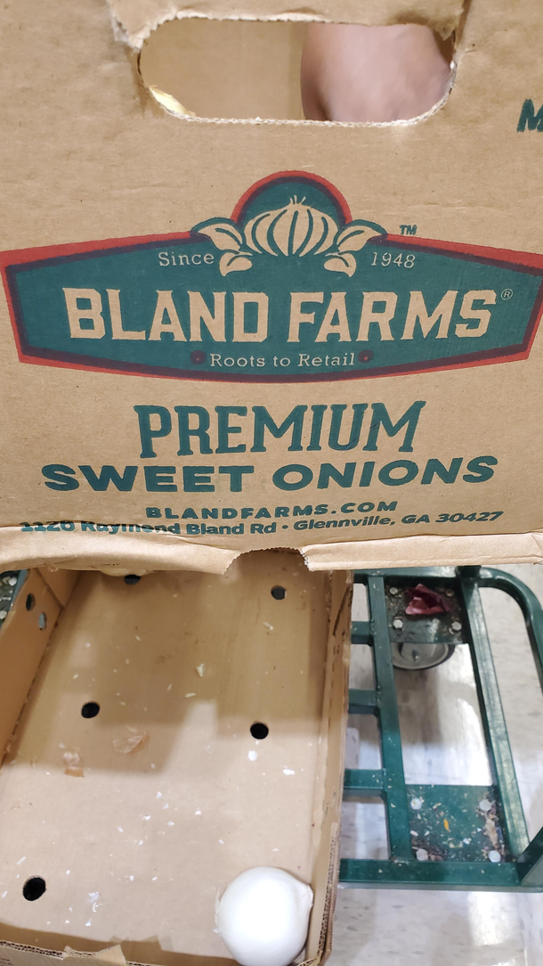 Bland Fruits and Vegetables Anyone Found at local grocery store