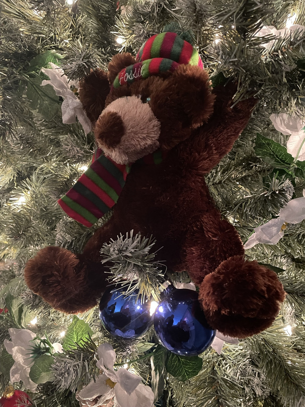 Blue Balls Bear a tradition I started a few years ago