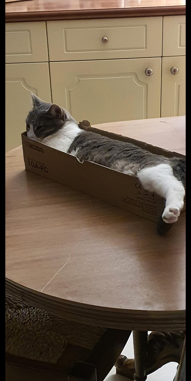 blursed box