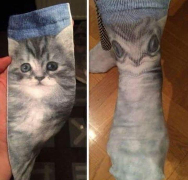 Blursed Socks