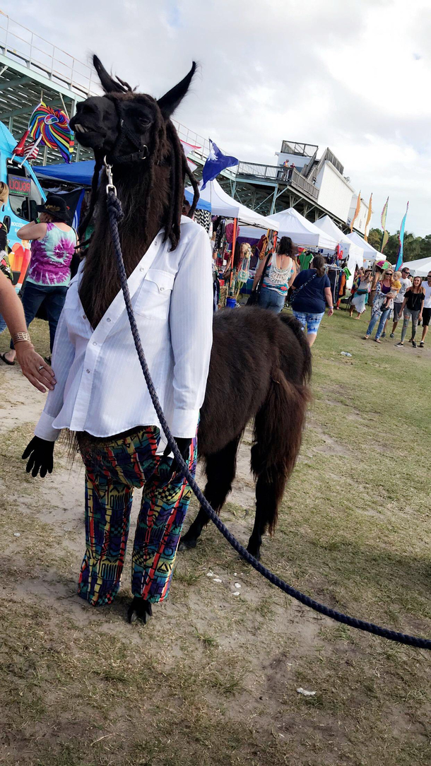 Bob Marley Llama Happy  All Month Long