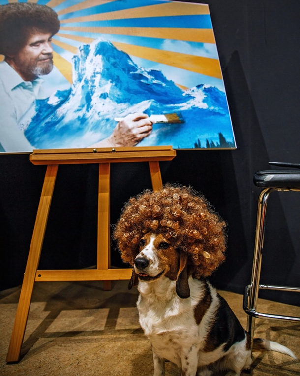 Bob Ross lookalike