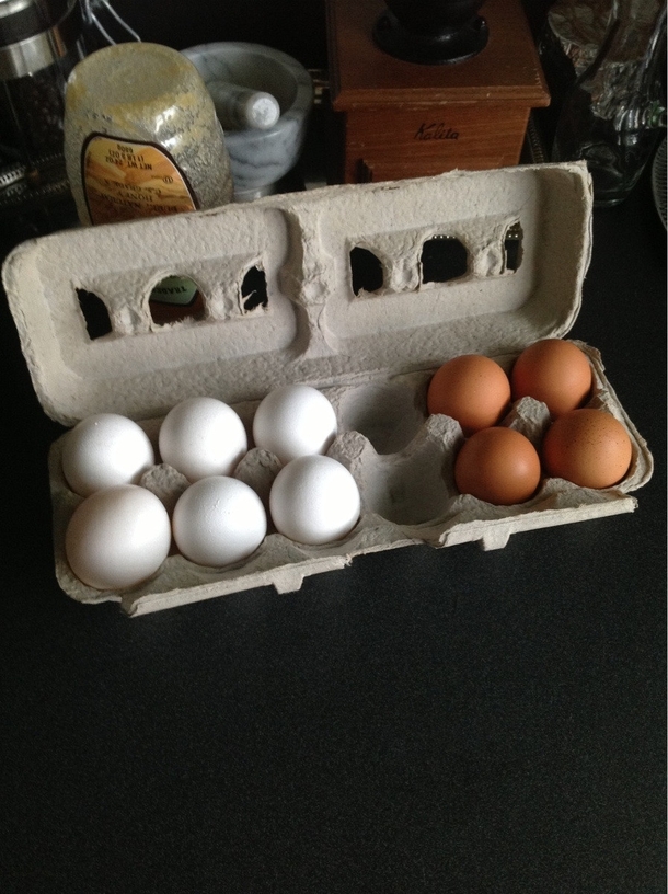 Boiling eggs for my roommate when I am asked to use the eggs from the back of the bus