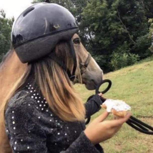 Bojack Horsewoman