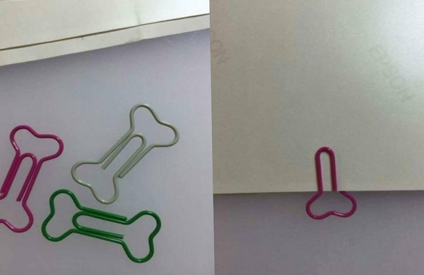 Bone shaped paperclips