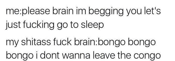 Bongo bongo