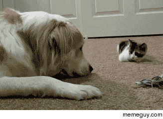 Boop attack