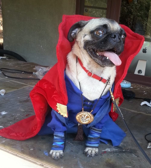 Borktor strange
