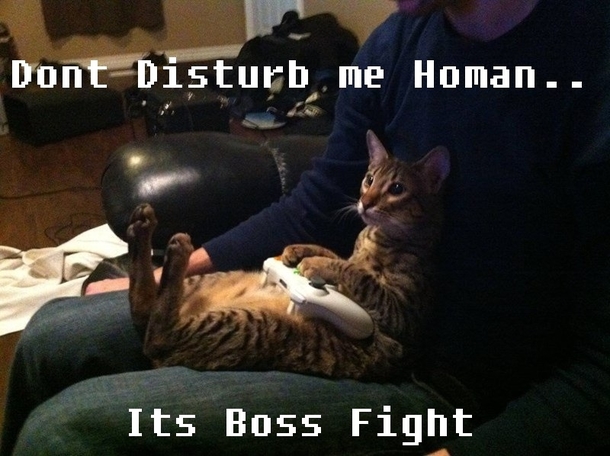 Boss Fight