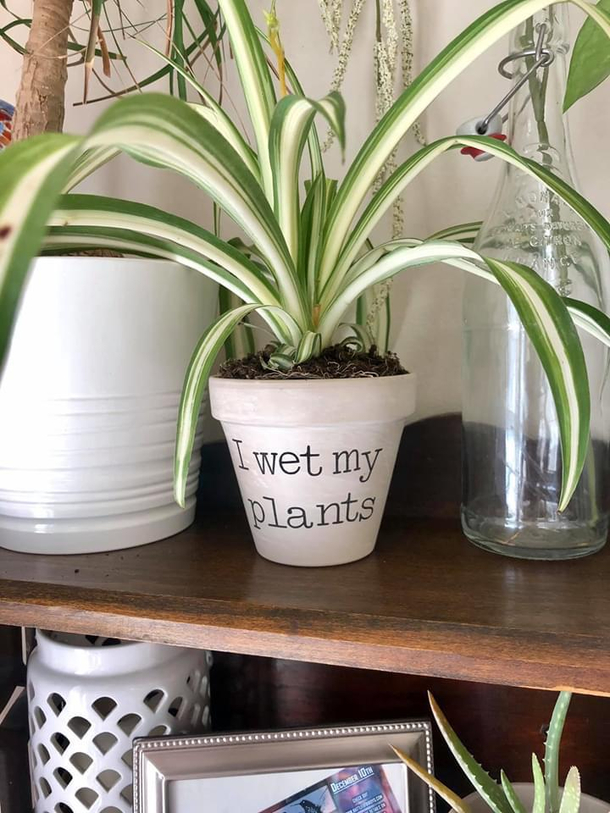 Botanical Humor