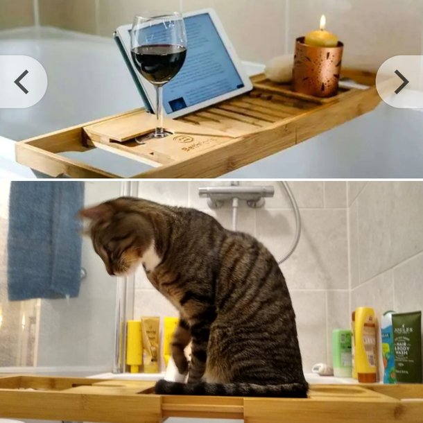 Bought a bath tray expecting relaxing bath times Instead Cat
