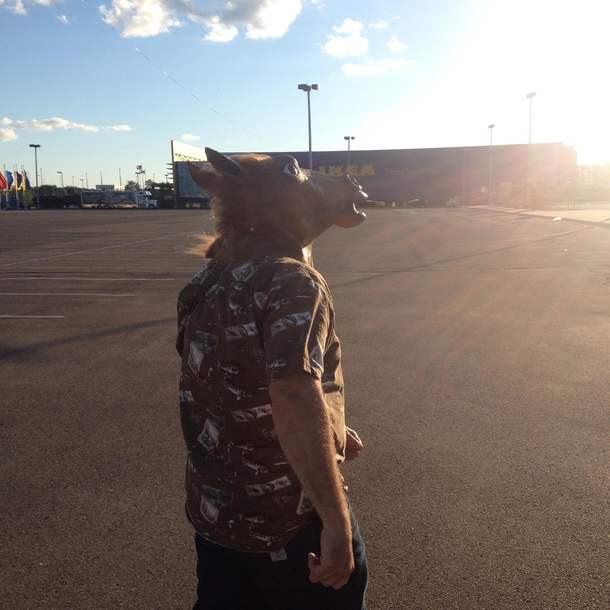 Bought a horse mask and my dad stole it once we left the store Majestic