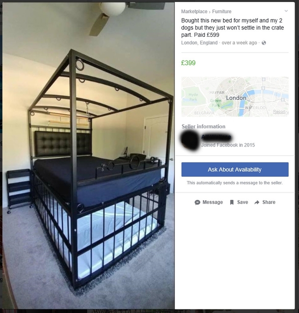 Bought it for his dogs