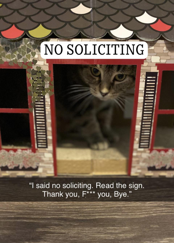 Bought my cat her own cardboard house Now she acts like she doesnt know me Great