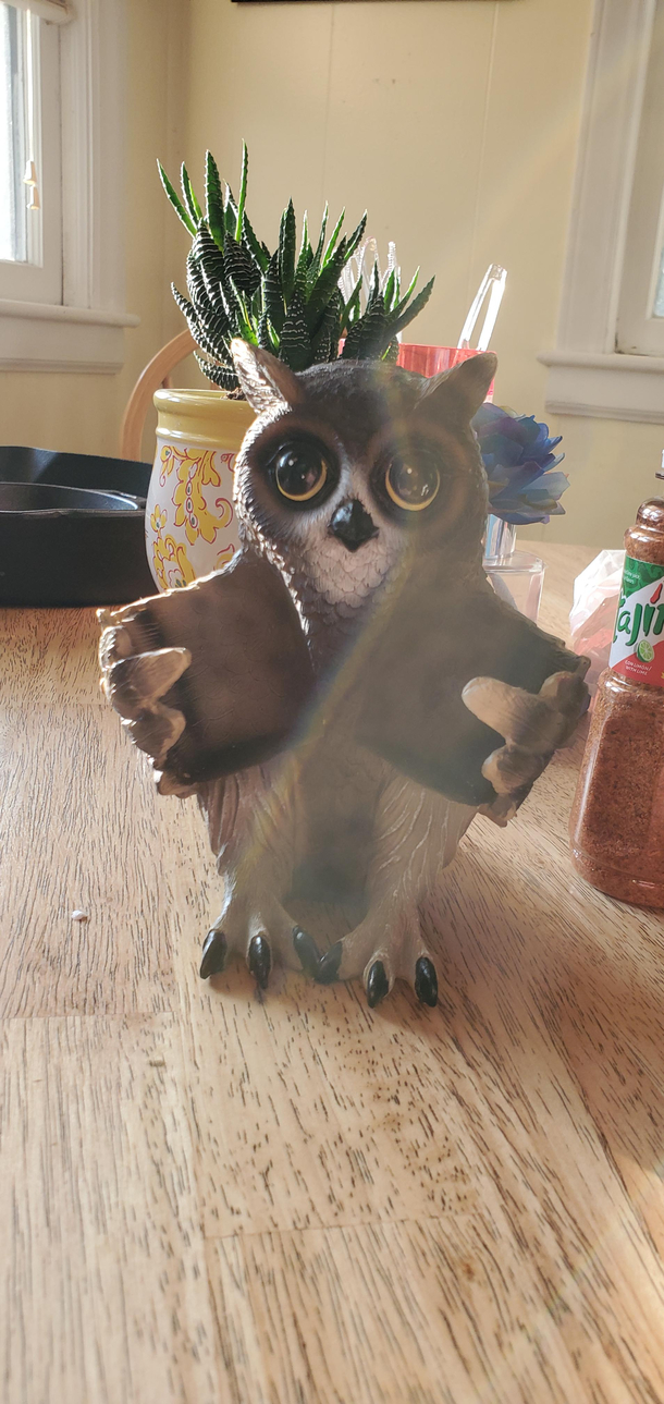 Bought this for my mom but I just realized this owl is giving double middle fingers