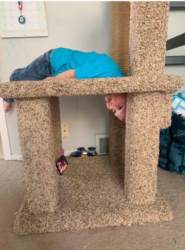 Boy had to be rescued after getting head stuck in cat scratching post