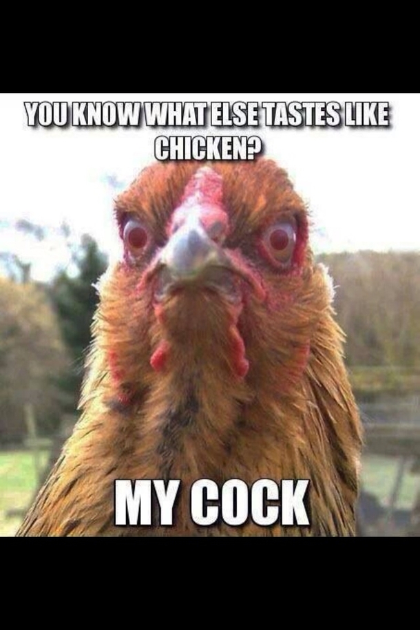 Boyfriend said he was horny I said I was hungry and wanted chicken This was his response