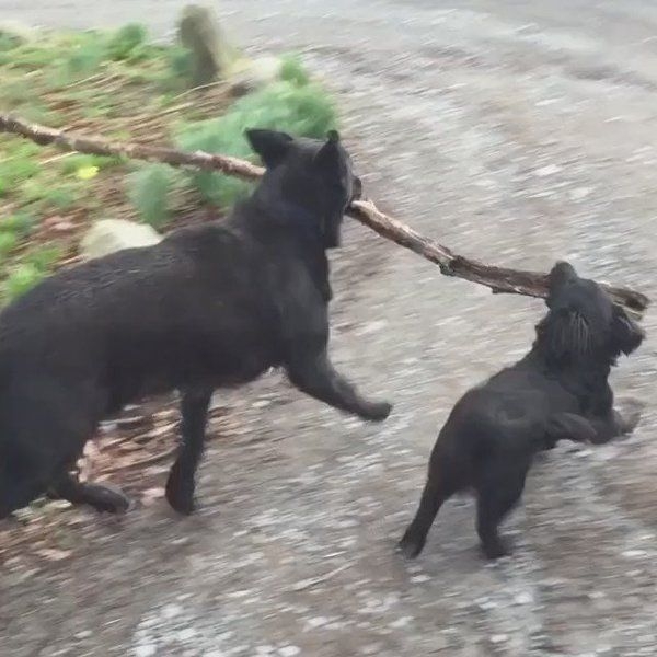 Branch Manager amp Assistant to the Branch Manager