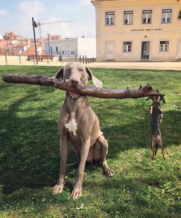 Branch manager and assistant branch manager