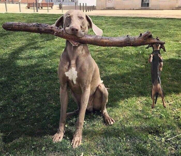 branch manager and assistant branch manager