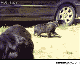 BREAK IT UP BREAK IT UP YOU TWO