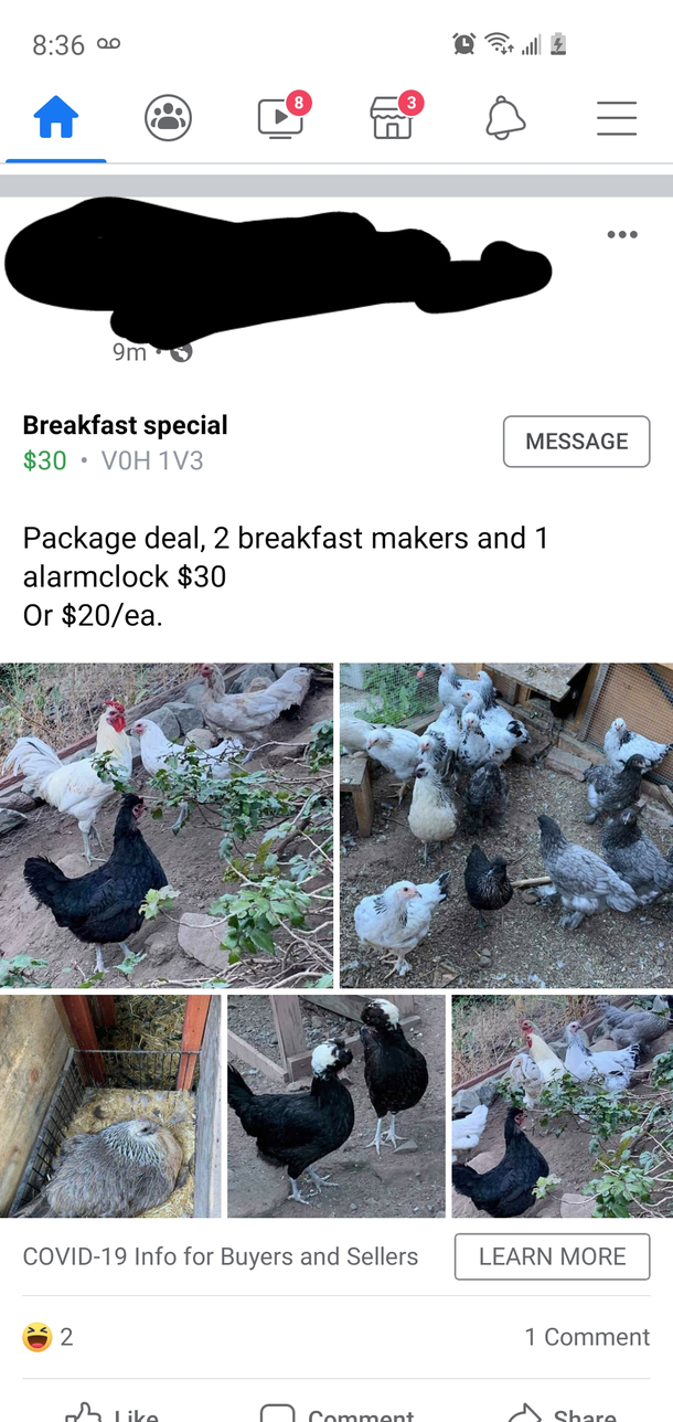Breakfast special