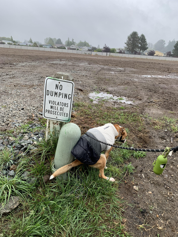 Breakin the law