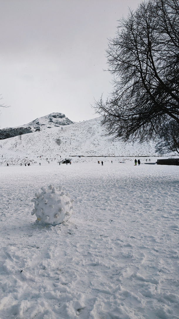 BREAKING  Newest strain of COVID- reported in Holyrood Park Edinburgh