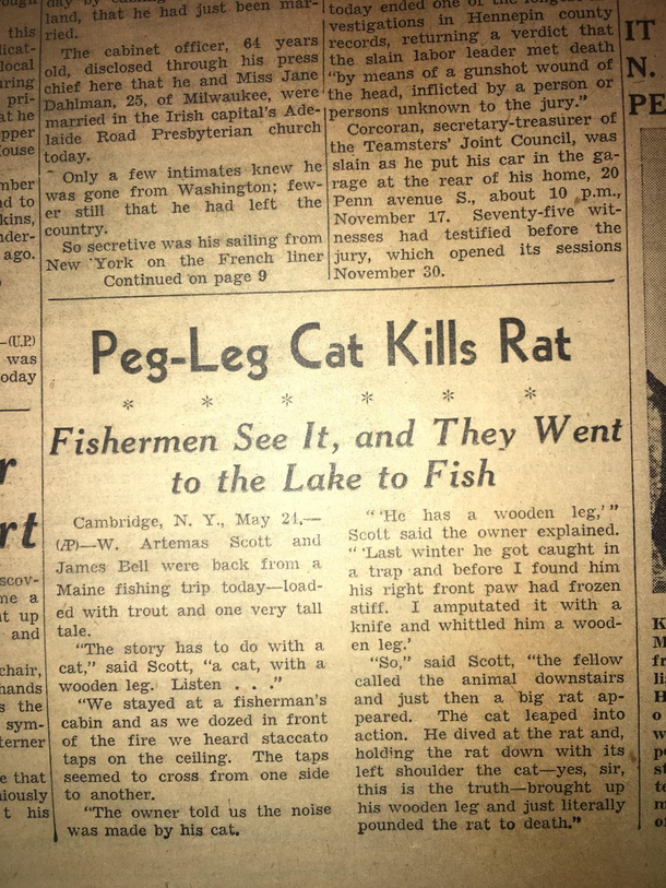Breaking News Peg-Leg Cat Kills Rat old newspaper found in the walls of a house Im remodeling