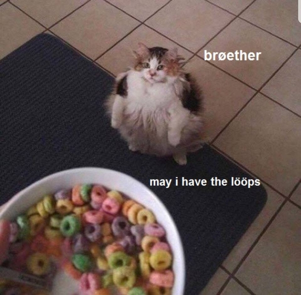 Brother I require sustenance