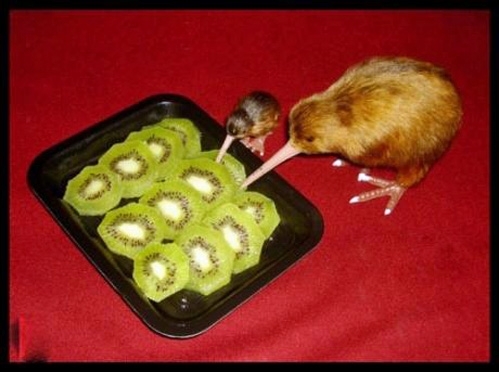 Brutal cannibalism Damn nature You scary